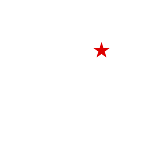 CRS Logo